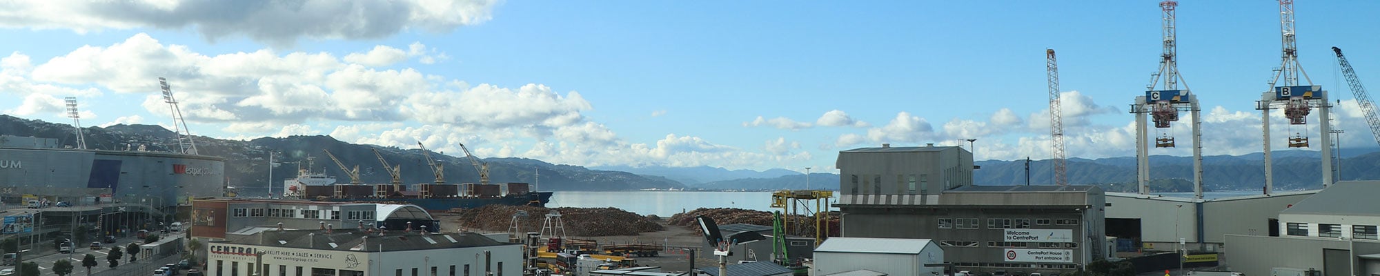 Wellington Port with logs for export