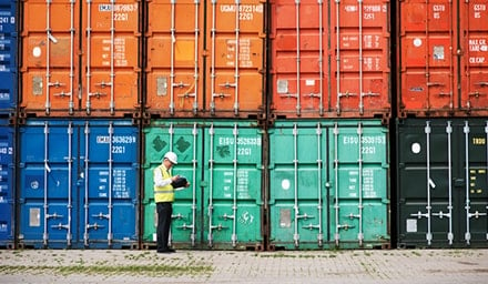 Customs officer reviewing shipping containers